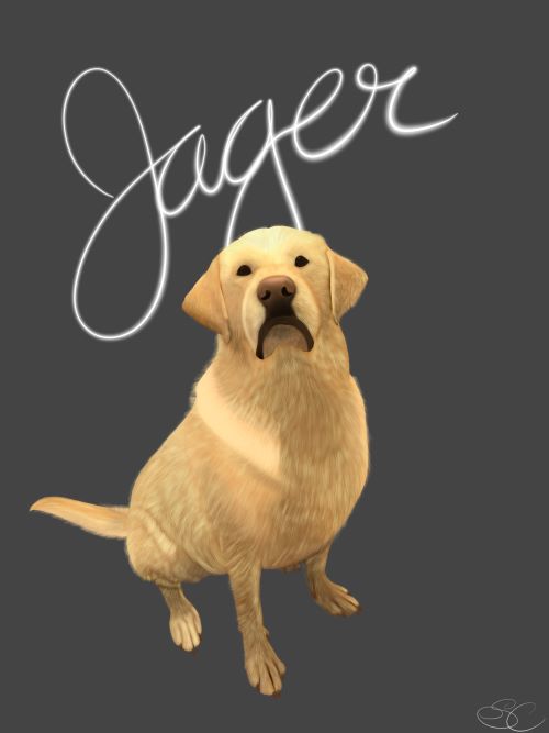 Image of a dog drawn digitally in color.